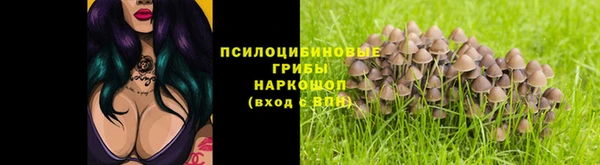альфа пвп Михайловск