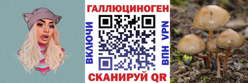 где купить наркоту Серпухов Псилоцибиновые грибы ЛСД