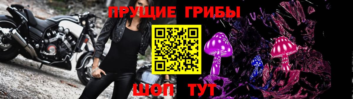 Псилоцибиновые грибы Psilocybe Серпухов